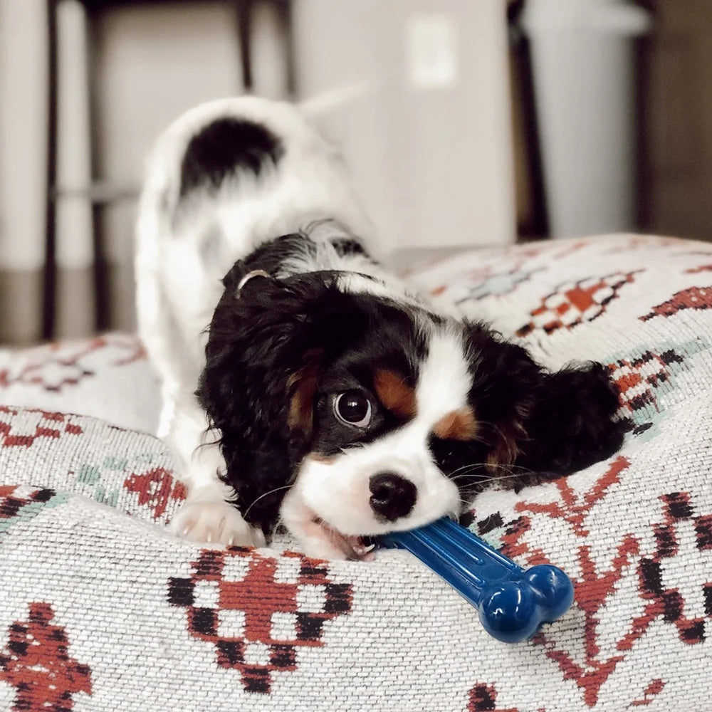 Durable Chew Toys Value Pack Small Dogs Peanut Butter Chicken Bacon Flavors Dental Care X-Small Chew Toys Powerful Chewers