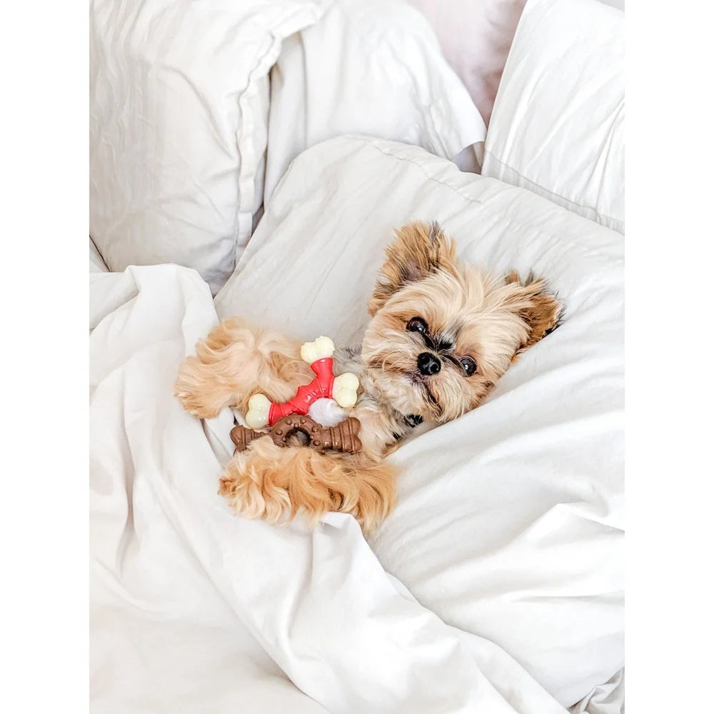 Durable Bacon Chew Toy X-Small Dogs Long-Lasting Chewable Bone with Ridges Nubs Teeth Cleaning Fun Chewing Sessions