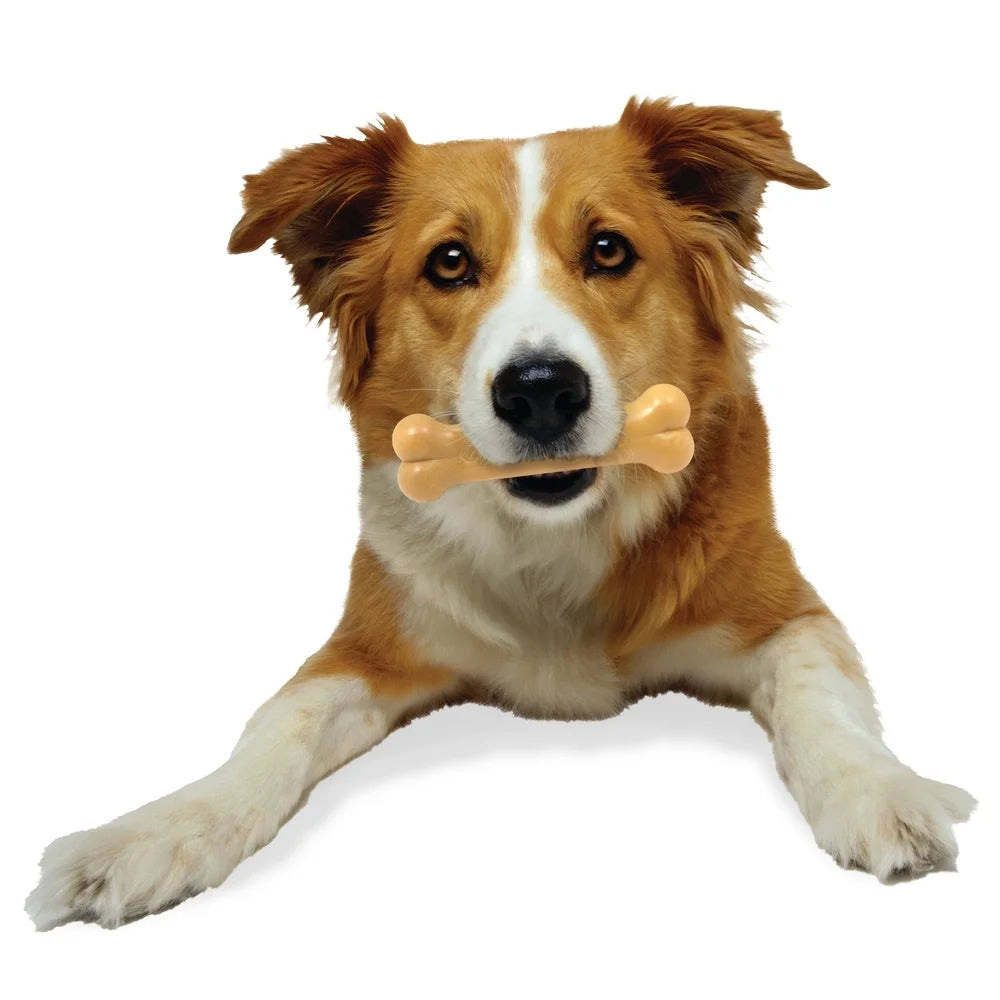 Durable Nylon Dog Chew Toy Power Chew Bone Peanut Butter Flavor Dental Toy Aggressive Chewers Up to 35lbs