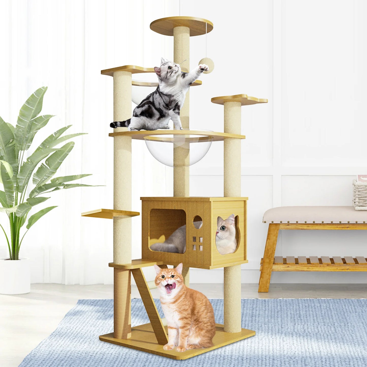 Cat Scratching Post Tower 51.5 Inch Tall Cat Tower Modern Kitten Condo with Clear Hammock, Top Perch, Pet Supplies